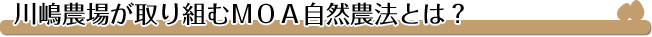 川嶋農場が取り組むＭＯＡ自然農法とは？