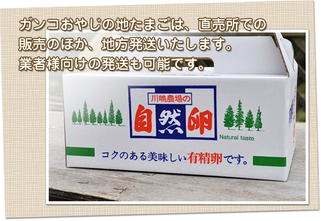 ガンコおやじの地たまごは、直売所での販売のほか、地方発送いたします。
業者様向けの発送も可能です。