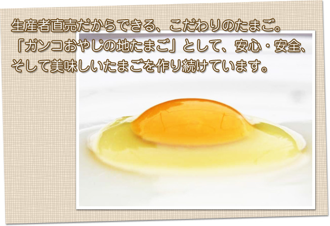 生産者直売だからできる、こだわりのたまご。
「ガンコおやじの地たまご」として、安心・安全、そして美味しいたまごを作り続けています。