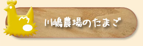 川嶋農場のたまご