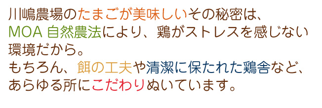 川嶋農場のたまごが美味しいその秘密は、MOA自然農法により、鶏がストレスを感じない環境だから。もちろん、餌の工夫や清潔に保たれた鶏舎など、あらゆる所にこだわりぬいています。